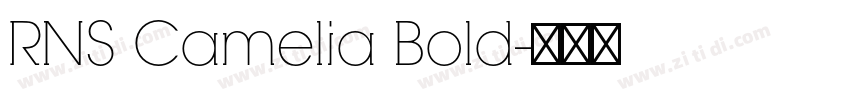 RNS Camelia Bold字体转换
